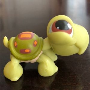 my littlest pet shop turtle